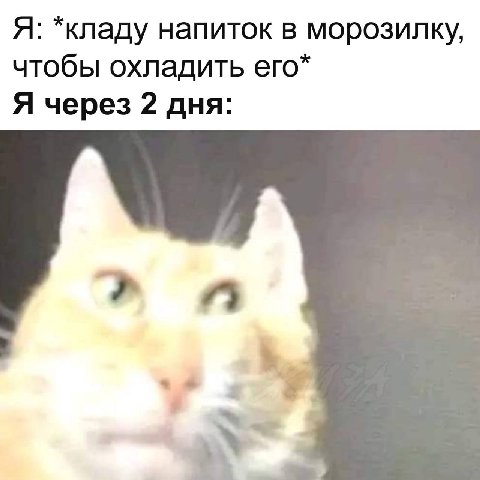 Я: *кладу напиток в морозилку, чтобы охладить его* Я через 2 дня: