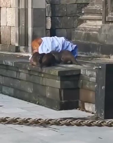 мем