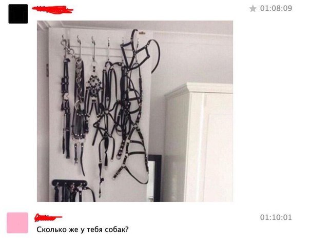 01:08:09 01:10:01 Сколько же у тебя собак?