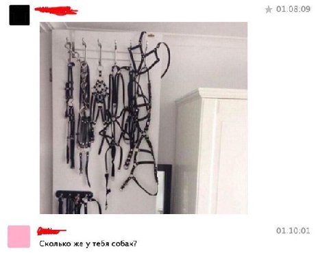 01:08:09 01:10:01 Сколько же у тебя собак?