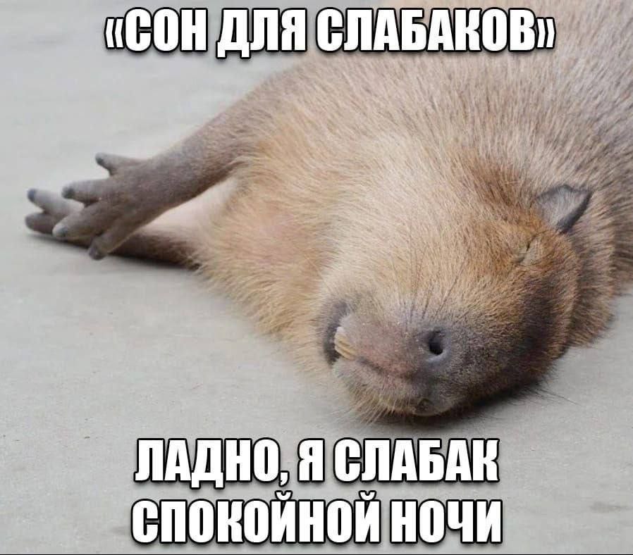(СОН ДЛЯ ЛАДНО, Я CHOKOMHOK НОЧИ