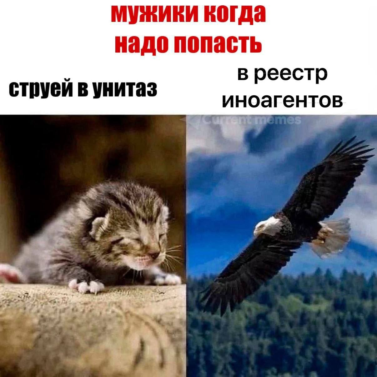 мужики когда надо попасть струей в унитаз руейву иноагентов Я ail 2