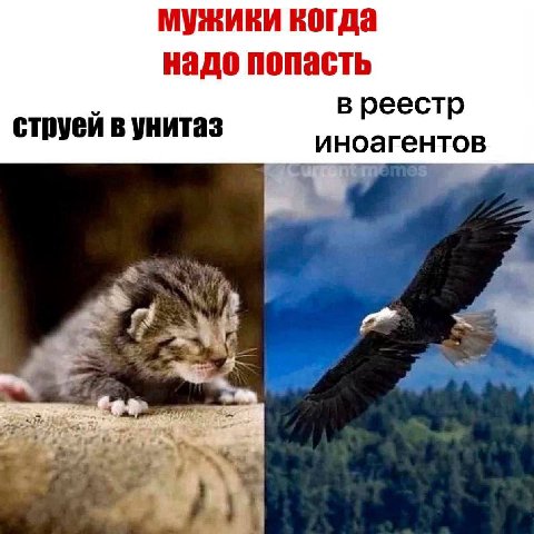 мужики когда надо попасть струей в унитаз руейву иноагентов Я ail 2