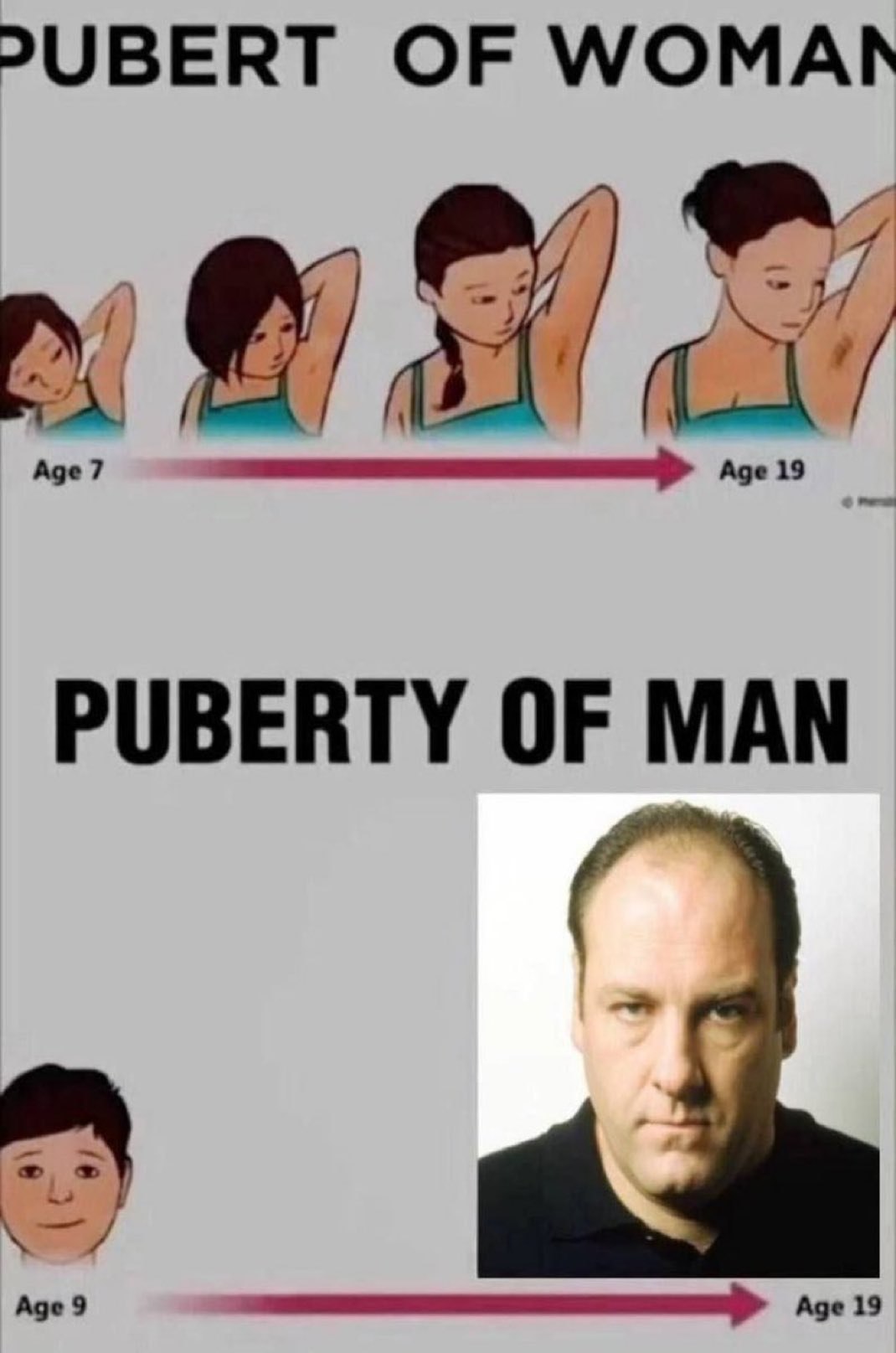 OF PUBERTY OF MAN Аде 9 Age 19