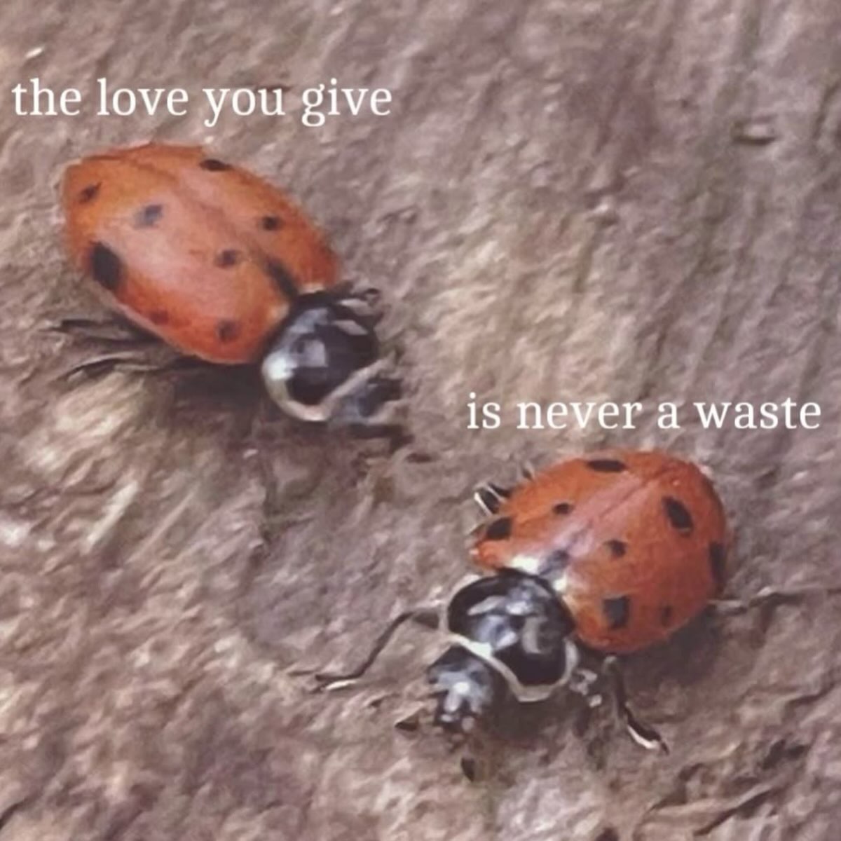 the love you give is пеуег a waste