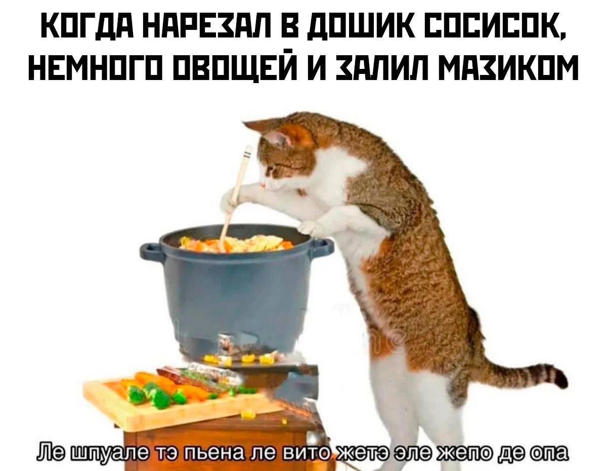 КОГДА НАРЕЗАЛ В ДОШИК СОСИСОК, НЕМНОГО ОВОЩЕЙ И ЗАЛИЛ МАЗИКОМ