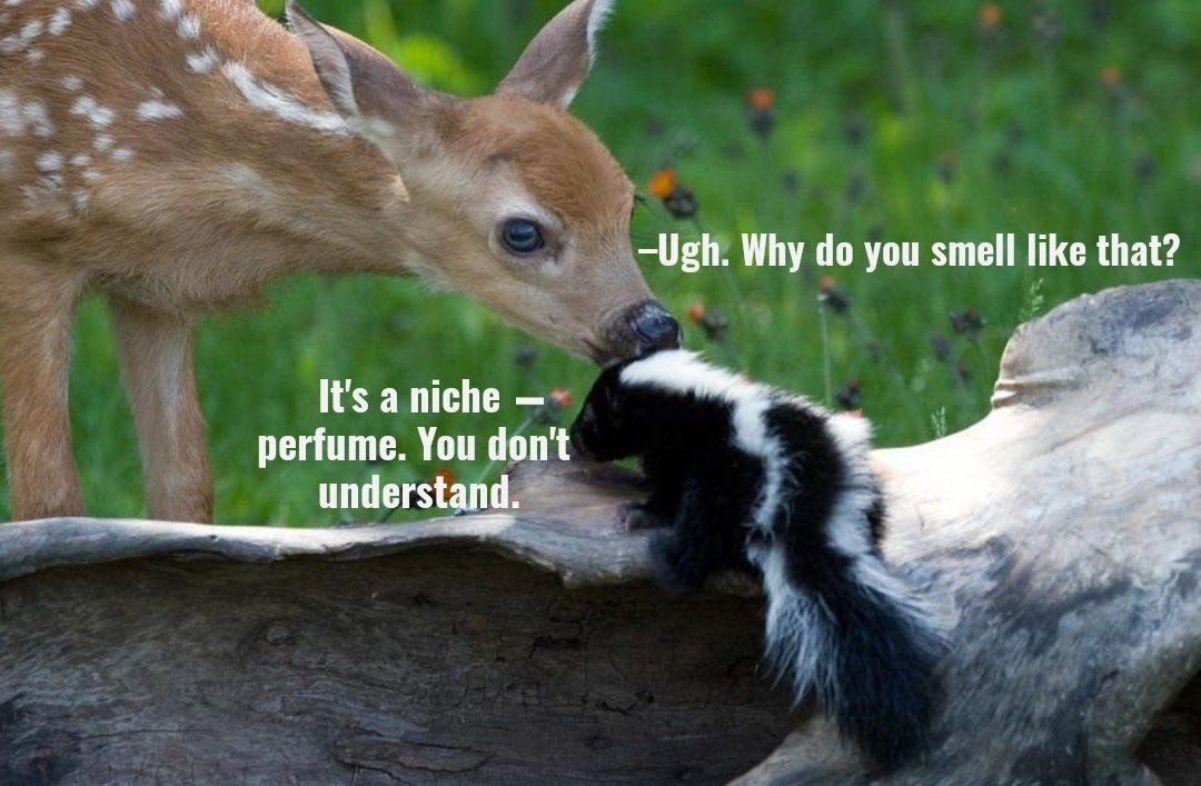 Why you smell like that? A It's aniche perfume. You don't understand.