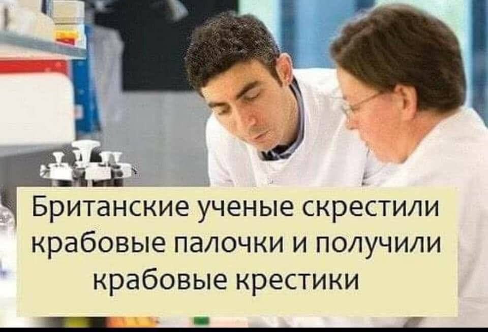 2 Британские ученые скрестили крабовые палочки и получили крабовые крестики