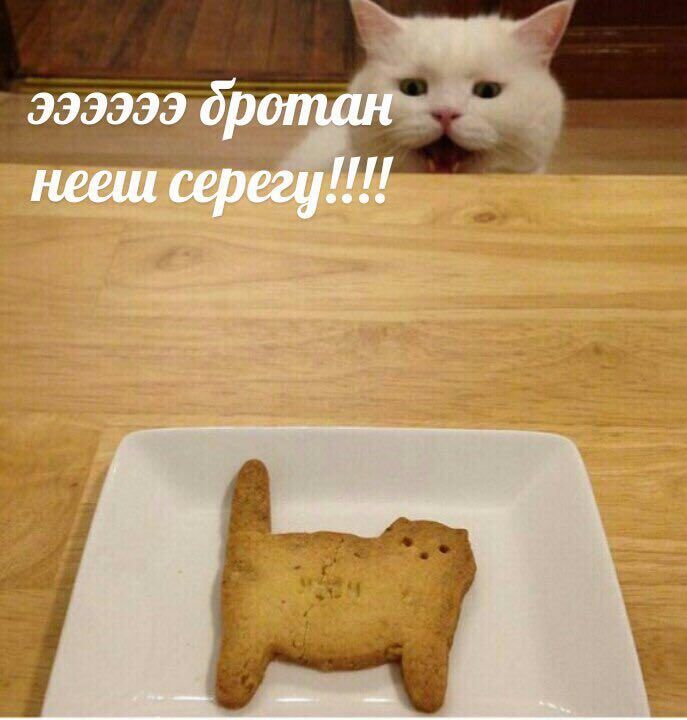 999999 бротан нееш серегу!!!!