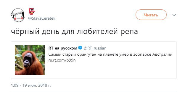 Читать черныи день для любителей репа 4 на русском @RT_russian Самый старый орангутан на планете умер в зоопарке Австралии ru.rt.com/b99n у 1:09 19 июн. 2018