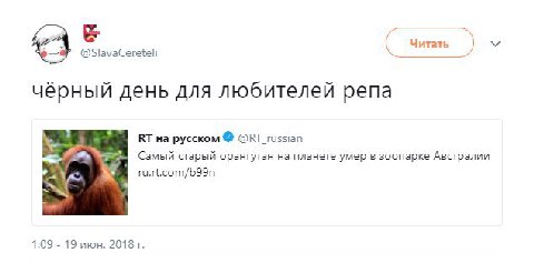 Читать черныи день для любителей репа 4 на русском @RT_russian Самый старый орангутан на планете умер в зоопарке Австралии ru.rt.com/b99n у 1:09 19 июн. 2018