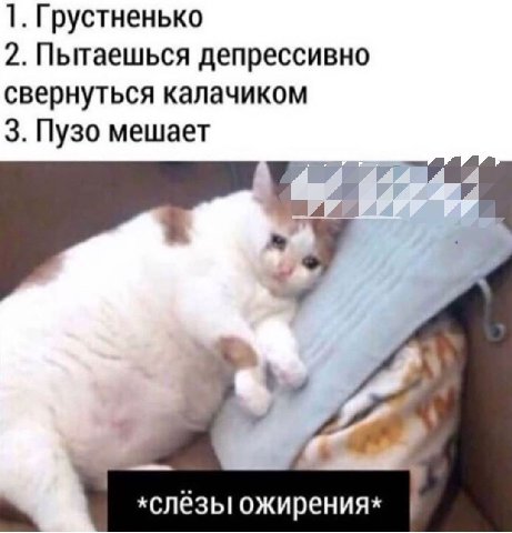 1. Грустненько 2. Пытаешься депрессивно свернуться калачиком 3. Пузо мешает *слёзы ожирения*