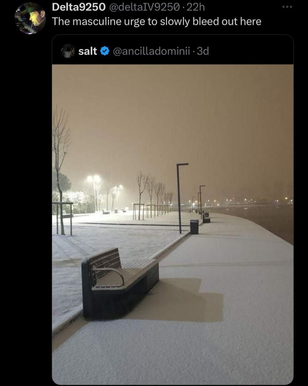 Delta9250 The masculine urge to slowly bleed out here salt