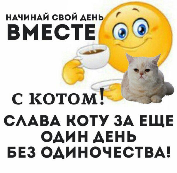 НАЧИНАЙ СВОЙ ВМЕСТЕ! С котом СЛАВА КОТУ ЗА ЕЩЕ ОДИН ДЕНЬ БЕЗ ОДИНОЧЕСТВА!