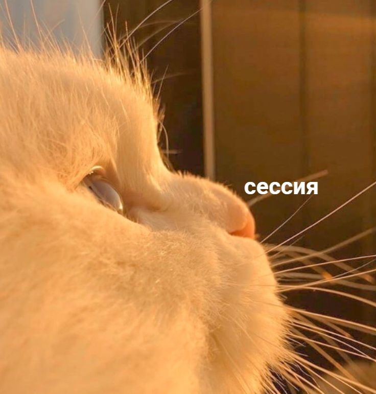 сессия