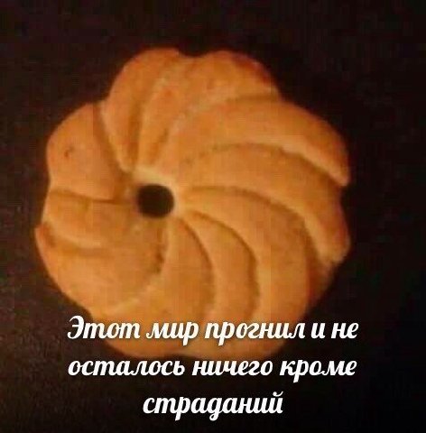 Этот мир прогнил и не осталось ничего кроме страданий