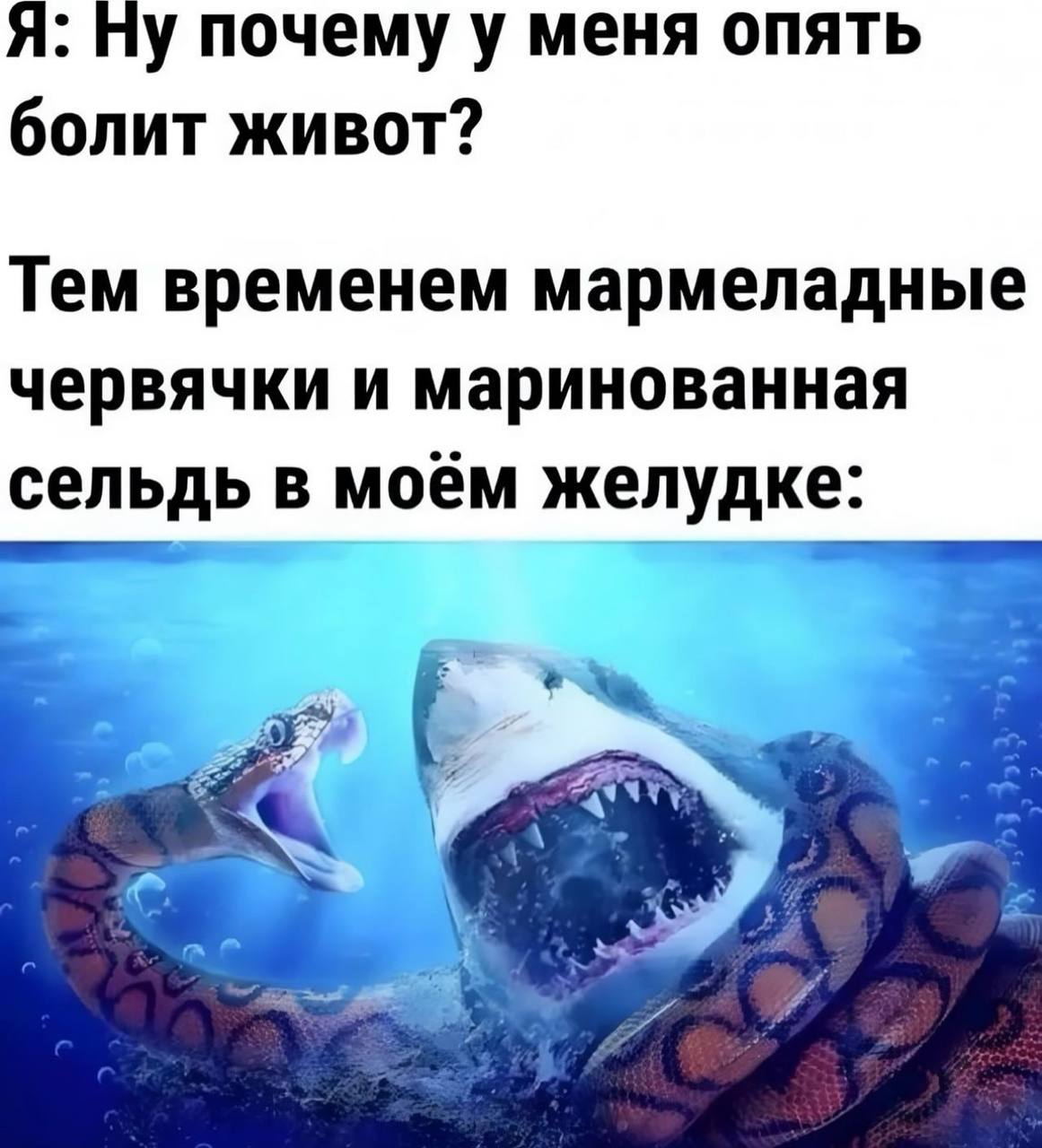 Я: почему у меня опять болит живот? Тем временем мармеладные червячки и маринованная сельдь в моём желудке: Far