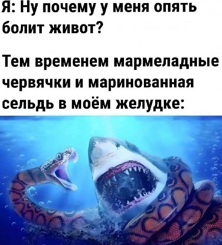 Я: почему у меня опять болит живот? Тем временем мармеладные червячки и маринованная сельдь в моём желудке: Far