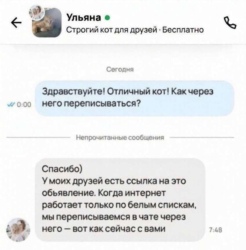 Ульяна Строгий кот для друзей Бесплатно Сегодня Здравствуйте! Отличный кот! Kak 0:00 него переписываться? Непрочитанные сообщения Спасибо) Умоих друзей есть ссылка на это объявление. Когда интернет ра