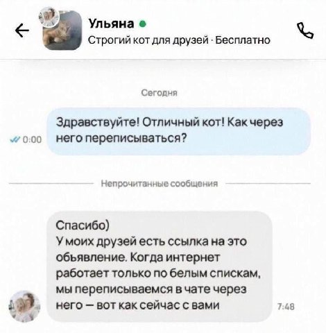 Ульяна Строгий кот для друзей Бесплатно Сегодня Здравствуйте! Отличный кот! Kak 0:00 него переписываться? Непрочитанные сообщения Спасибо) Умоих друзей есть ссылка на это объявление. Когда интернет ра