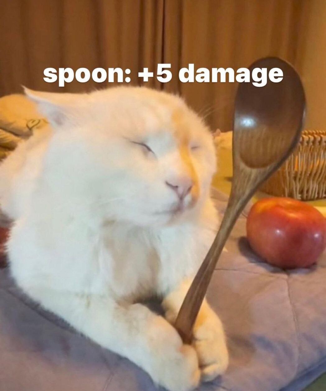 spoon: +5 damage