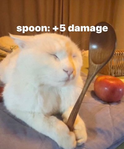 spoon: +5 damage