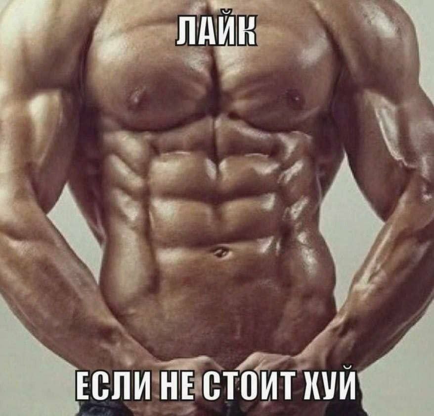ЕСЛИ НЕ СТОИТ КУИ