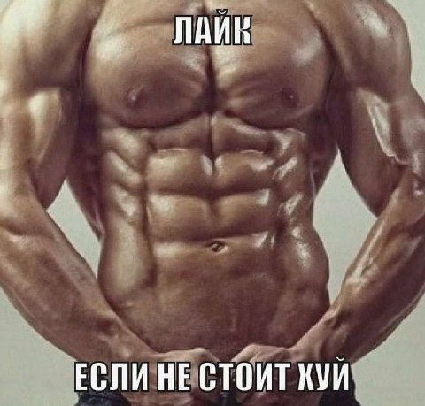 ЕСЛИ НЕ СТОИТ КУИ