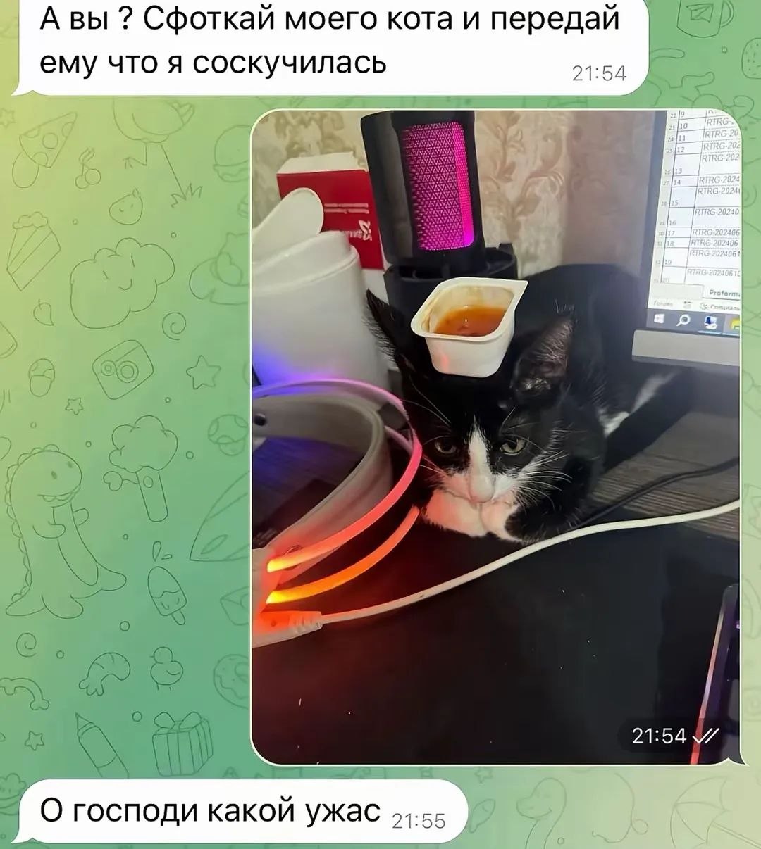 Моральное разложение