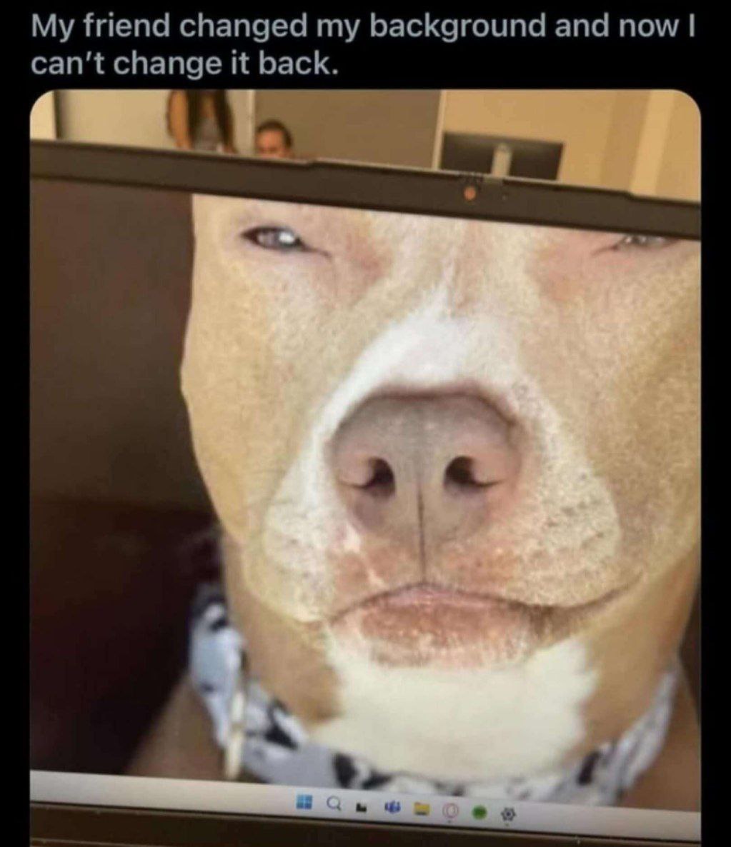 My friend changed my background and now can't change it back. A
