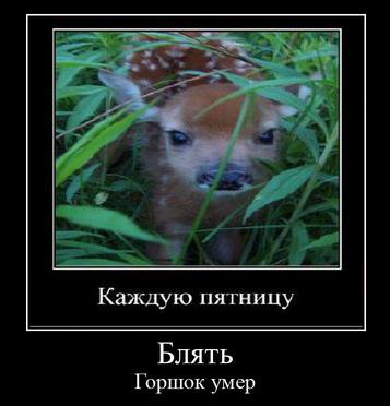 Каждую пятницу Блять Горшок умер