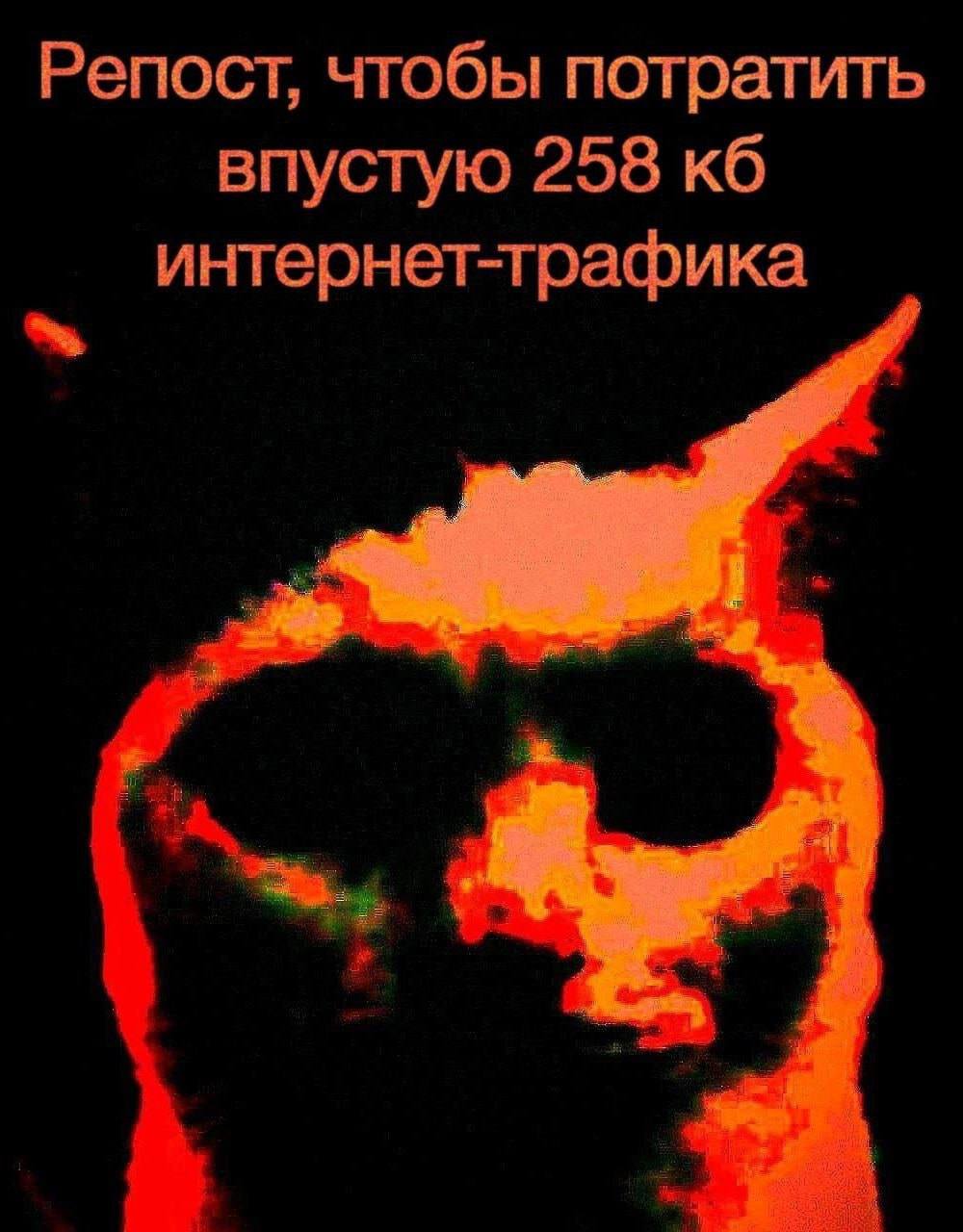 Репост, чтобы потратить впустую 258 интернет-трафика
