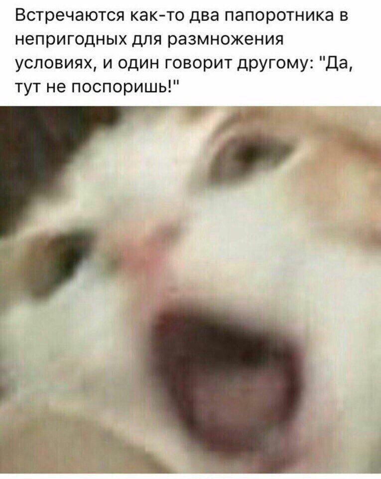 бля, моя любимая шутка