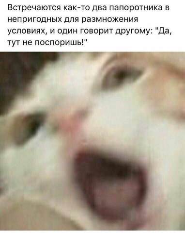 бля, моя любимая шутка