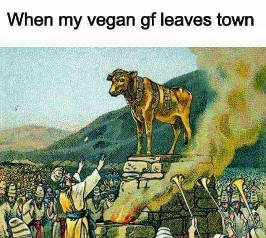 When my vegan leaves town