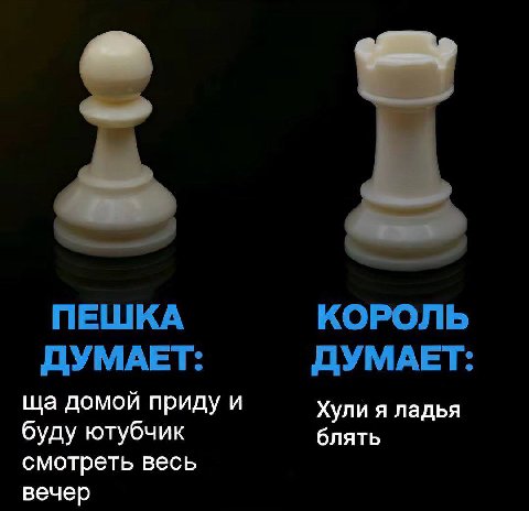 ПЕШКА КОРОЛЬ ДУМАЕТ: ДУМАЕТ домой приду и буду ютубчик Хули я ладья блять смотреть весь вечер