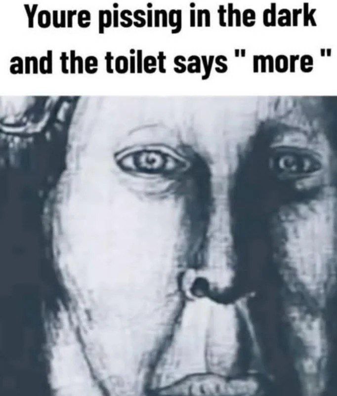 Youre pissing in the dark and the toilet says more 4