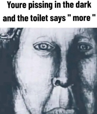 Youre pissing in the dark and the toilet says more 4