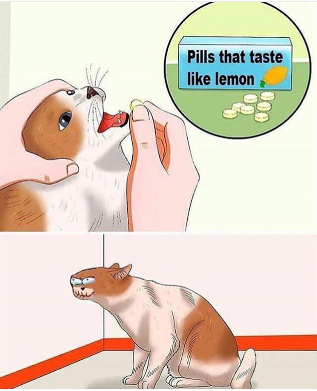 PIS that taste
