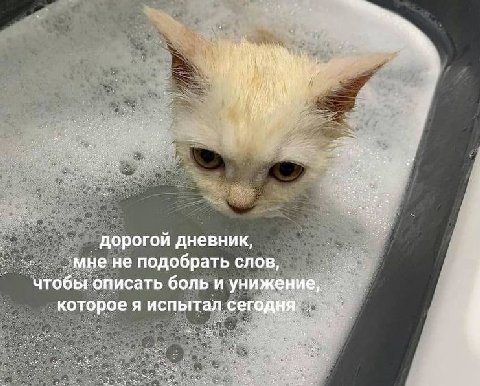 когда утро началось с того, что пришлось рано встать