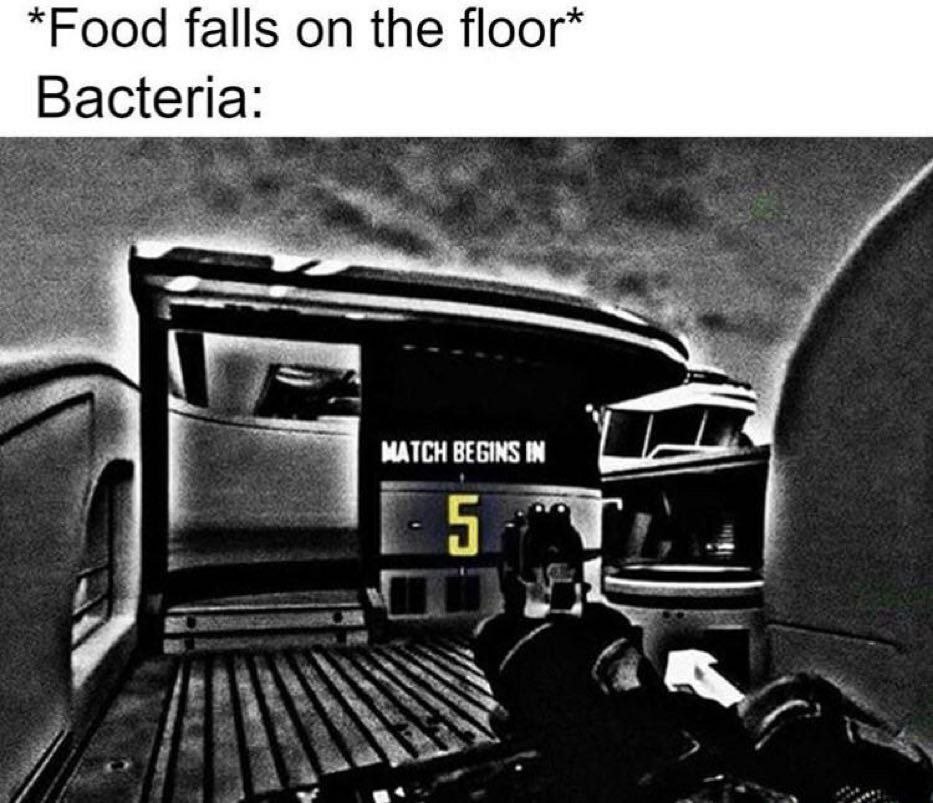 *Food falls on the floor Bacteria MATCH BEGINS 7