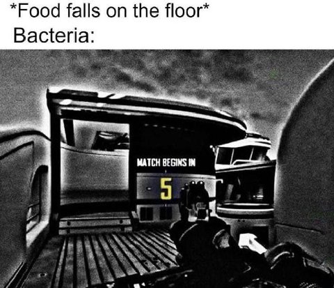 *Food falls on the floor Bacteria MATCH BEGINS 7