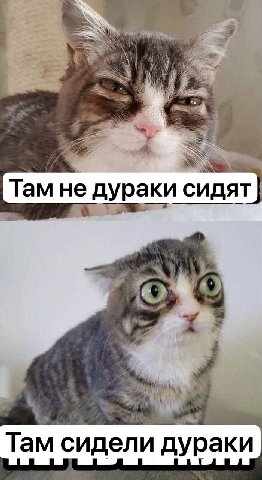 Там не дураки сидят uli Там сидели дураки