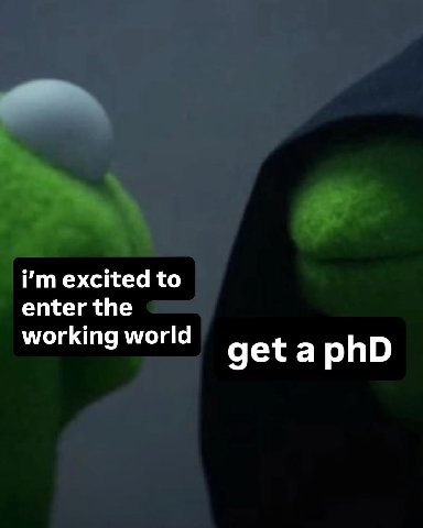 excited to enter the worki rking get а phD