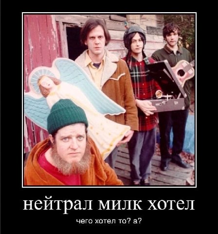 нейтрал милк хотел чего хотел то? а?