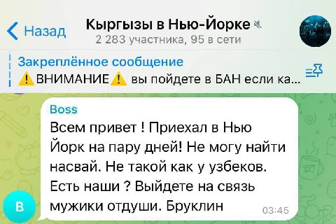 Кыргызы в Нью-Йорке Назад 2 283 участника, 95 в сети Закреплённое сообщение ВНИМАНИЕ вы пойдете в БАН если Boss Всем привет Приехал в Нью Йорк на пару дней! Не могу найти насвай. Не такой как у узбеко