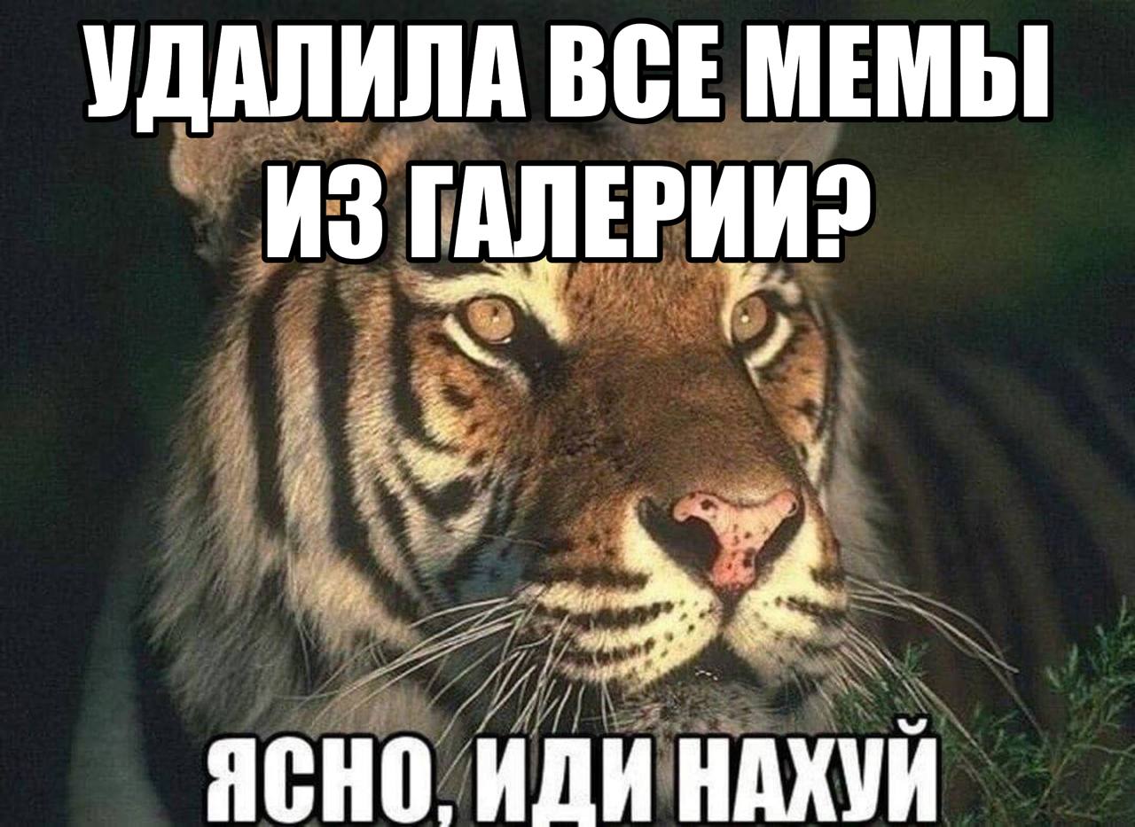 УДАЛИЛА ВСЕ МЕМЫ ИЗ 4 ИДИ НАХУЙ