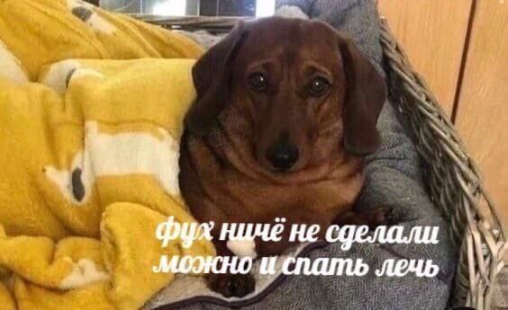 фул не сделали можно спать лечь