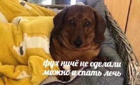 фул не сделали можно спать лечь