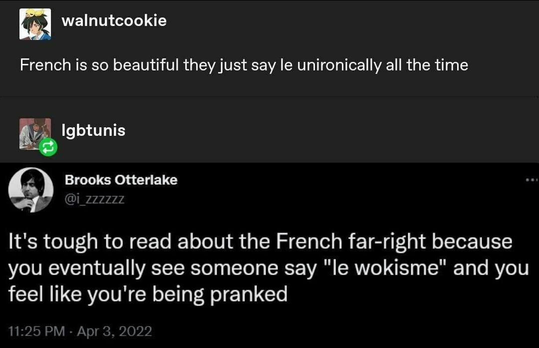walnutcookie French is so beautiful they just say unironically all the time Igbtunis Brooks Otterlake It's tough to read about the French far-right because you eventually see someone say wokisme" and 